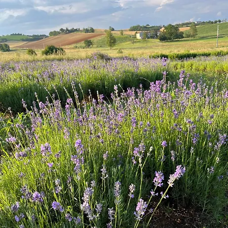 Cascina Mima - Monferrato فندق مبيت وإفطار 3*
