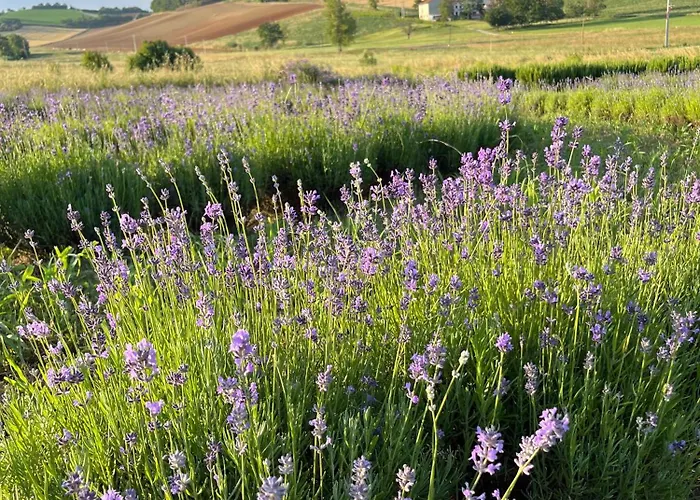 Cascina Mima - Monferrato Panzió 3*